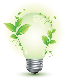 Bulb Sustainable